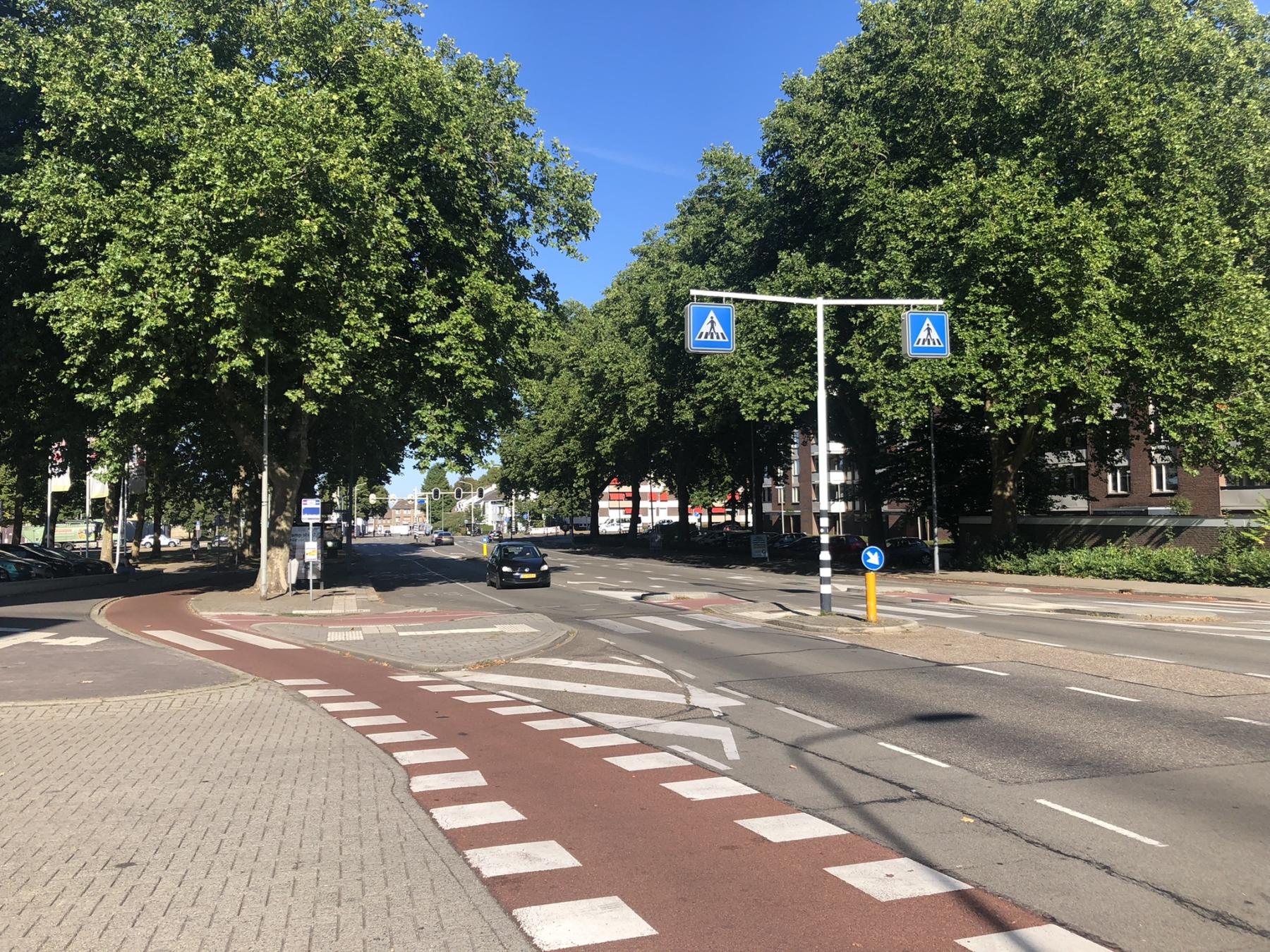 afbeelding van straat met bomen Dr Bakstraat-Via Regia