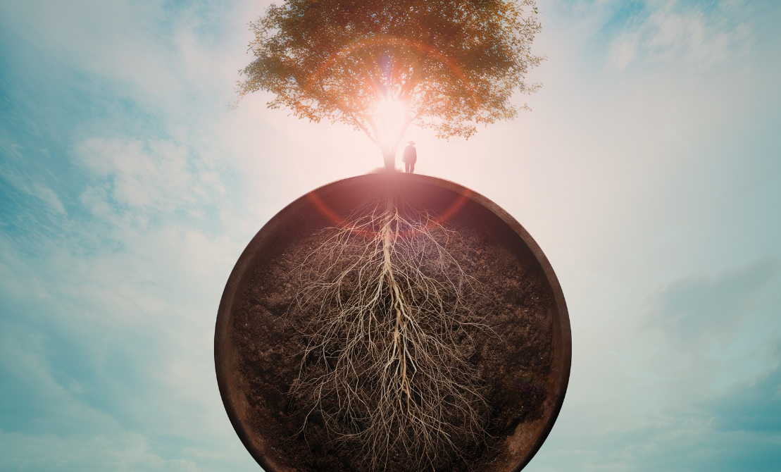 wereldbol met een grote boom bovenop de wereld. De wortels reiken tot diep in de aarde en er staat een silhouet van een persoon naast de boom