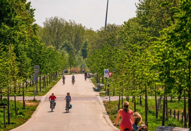 afbeelding straat met fietsende mensen en bomen aan de zijkant Groene Loper